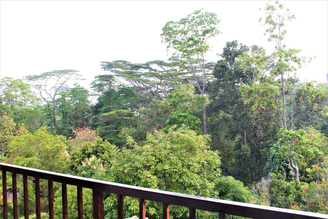 E-Stay Hanthana Kandy Exteriér fotografie